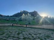 Top Castiglione dʼOrcia