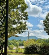 Top Travelers Rest