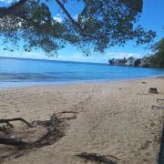 101 Batts Rock Beach Condos