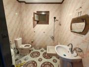 قرية النورس