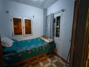 قرية النورس