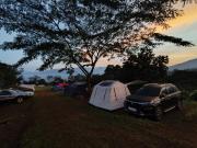Top Paragajen