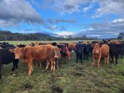 Luxury farm stay with outdoor jacuzzi