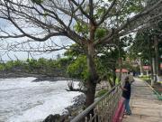 Top Green Island