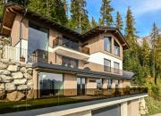 Alpin Chalet Dachsteinhaus