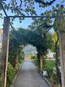 Apartment with one bedroom