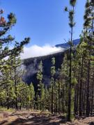 MNG-Apart Paradise Court