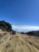 MNG-APART Studio D-14 Mareverde Costa Adeje