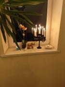 Top Panevėžys Top Panevėžys