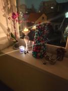 Top Panevėžys Top Panevėžys