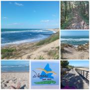 Top Le Verdon-sur-Mer