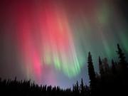 Top North Pole