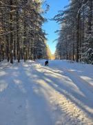 Top Saint-Alexis-des-Monts
