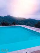 Top Vergara
