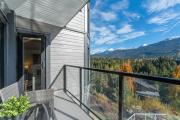 Top Whistler