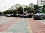 Top Dongtai