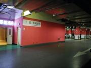 Top Jinjiang