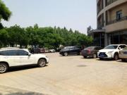 Top Baoding