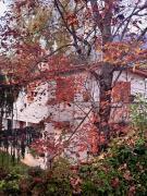 Il Bosco Guest House Subiaco