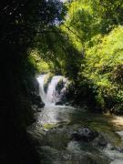 Top Mussoorie