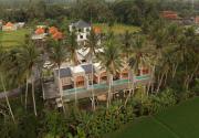 Top Ubud Top Ubud
