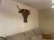 Top Saintes-Maries-de-la-Mer