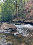 Top Bersac-sur-Rivalier