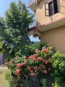 Top Sauraha