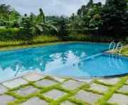 Top Vythiri