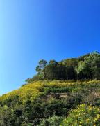 Top Ban Huai Khai