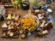 Top La Celle-sous-Gouzon