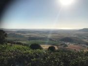 Top Vejer de la Frontera