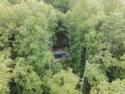 Top Sylva