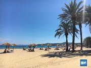 Top Le Lavandou