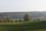 Top Silnowo