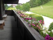 Top Schladming