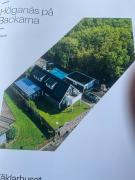 Höganäs Pool, beach and forest