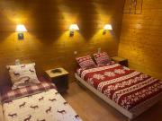 Chalet au bord du lac Longemer