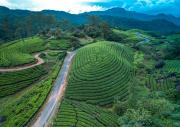 Top Munnar Top Munnar