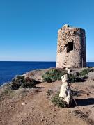 Top Donigala Fenughedu