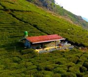 Top Ooty