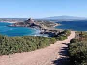 Top Donigala Fenughedu