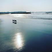 Camping Fun - Vacation STAY 27499v