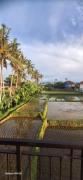 Top Ubud