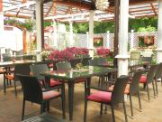 Top Brăila Top Brăila