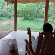 Sandivs Safari Lodge - Yala