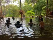 The Green Goan Village