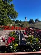 Top Campaegli Top Campaegli