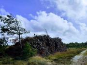 Top Oksbøl Top Oksbøl