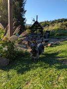 Top Baligród Top Baligród